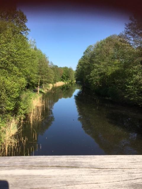 Ferienappartement Am See III Schorfheide Eksteriør bilde
